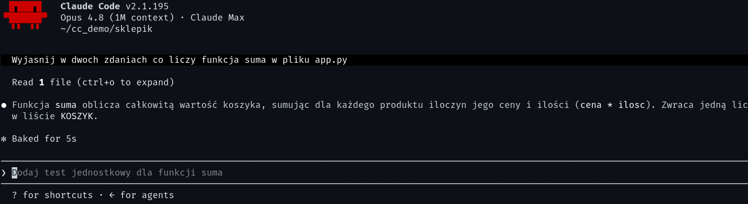 Prawdziwa sesja Claude Code: agent czyta plik projektu i wyjaśnia działanie funkcji, zużywając część kontekstu