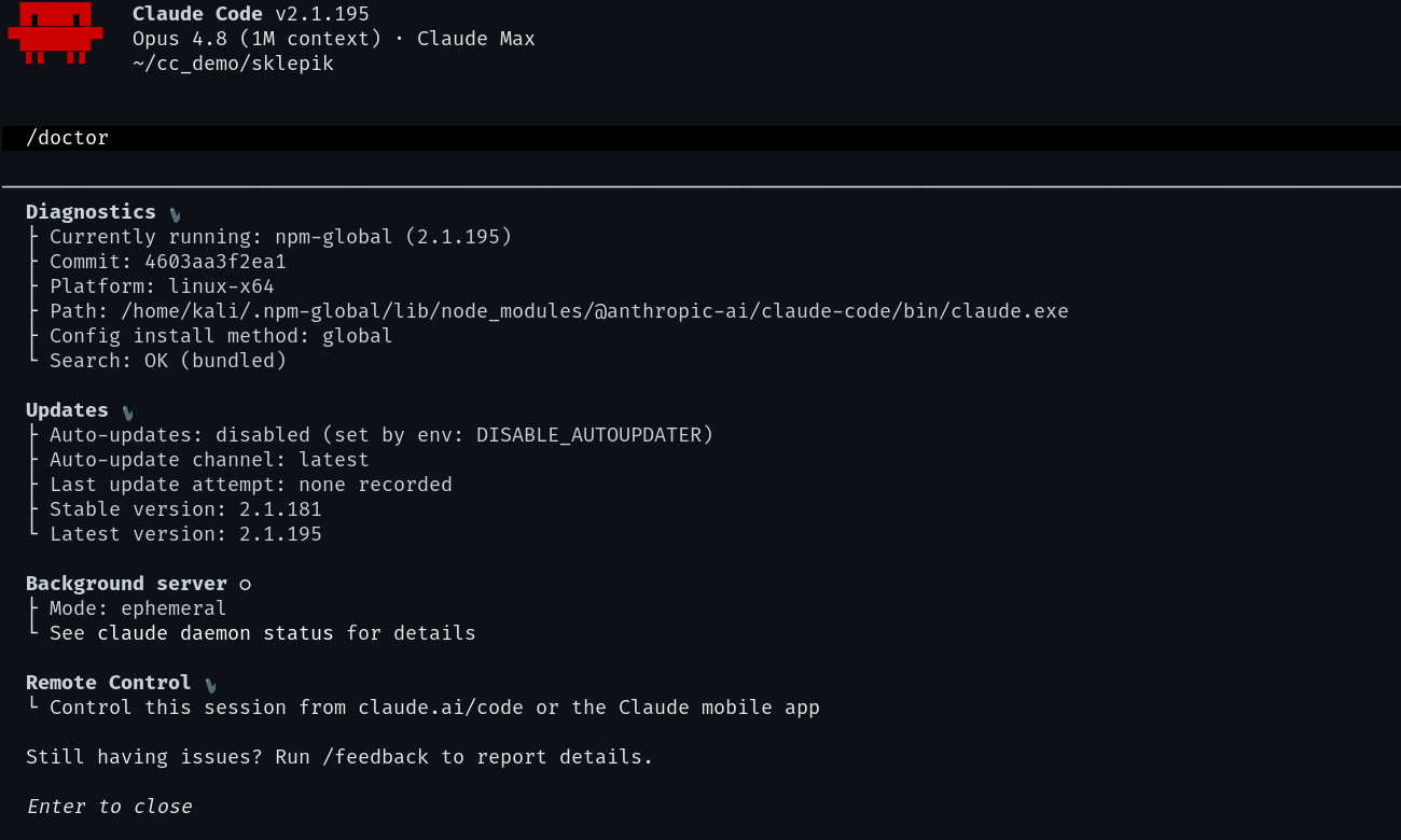 Komenda /doctor w Claude Code - diagnostyka instalacji: sekcje Diagnostics, Updates, Background server, Remote Control