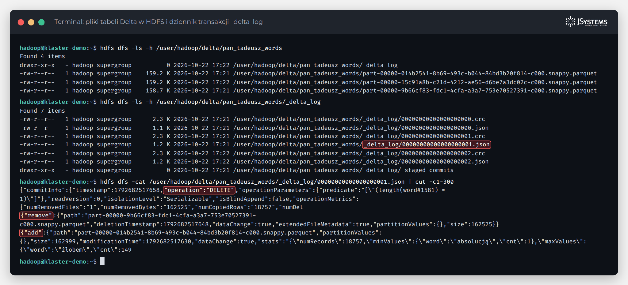 Katalog _delta_log tabeli Delta z plikami JSON kolejnych transakcji i fragmentem jednego zapisu