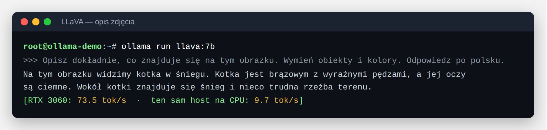 Model wizyjny opisuje zdjęcie kota na śniegu