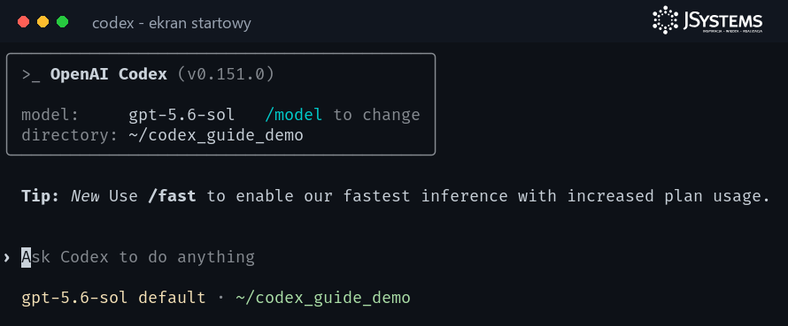 Ekran startowy Codex CLI: nazwa OpenAI Codex z numerem wersji, wybrany model, katalog roboczy oraz pole tekstowe z zachętą do wpisania polecenia